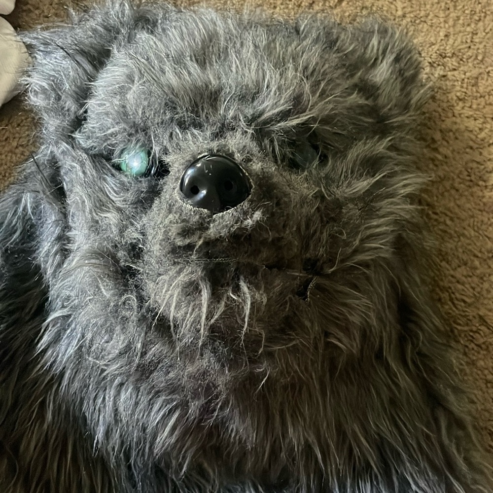 Spirit Halloween wolf mask. Good for trick or treating